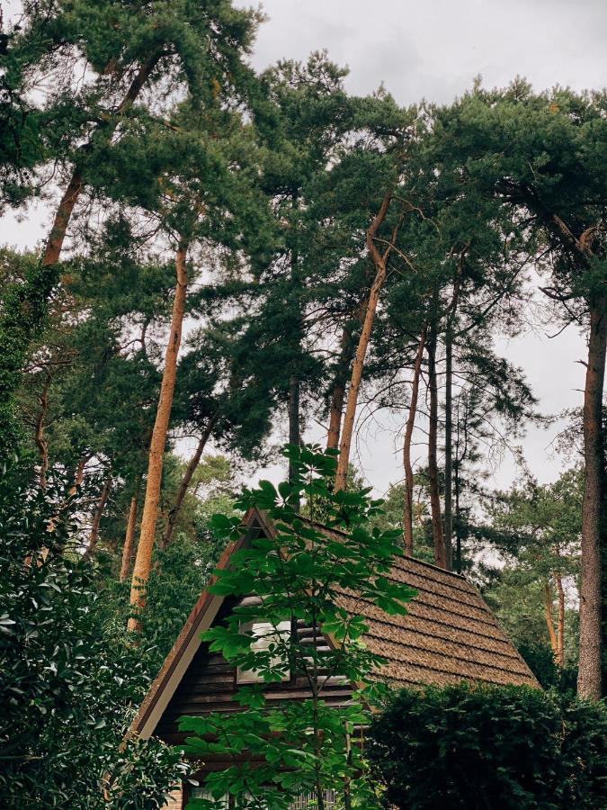 Mimi'S Natuurhuisje Lanaken Dış mekan fotoğraf