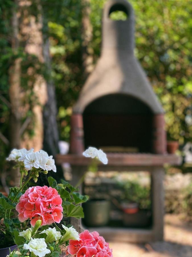Mimi'S Natuurhuisje Lanaken Dış mekan fotoğraf